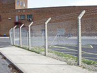 Galvanised chain link fencing on concrete posts